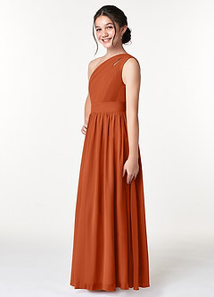 Azazie Molly Junior Burnt Orange A-Line Pleated Chiffon Dress image4