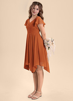 Azazie Janeaurelia Junior Cinnamon A-Line Pleated Chiffon Dress image5