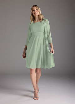 Azazie Sunny Kleider für die Brautmutter A-Linie Plissee Gittergewebe Kleid Staubiger Salbeigrün image3