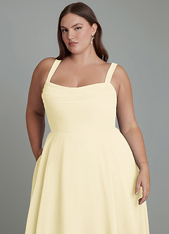 Azazie Shaude Bridesmaid Dresses Lemon Sorbet A-Line Pleated Chiffon Dress image12