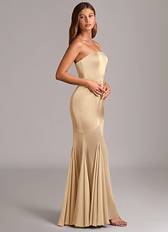 Azazie Uma Final Sale Champagne Mermaid Strapless Chiffon Convertible Dress image4