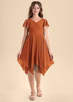 Azazie Janeaurelia Junior Cinnamon A-Line Pleated Chiffon Dress image6
