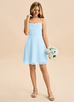 Azazie Bear Junior Sky Blue A-Line Pleated Chiffon Dress image3