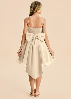 Azazie Arie Junior Champagne A-Line Ruched Chiffon Dress image1