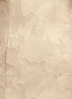 Azazie Flossie Mother of the Bride Dresses Champagne A-Line Pleated Chiffon Dress image8