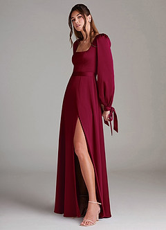 Leonia Merlot Maxi Dress image5