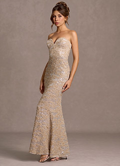 Daphne Champagne Sequins Maxi Dress image3
