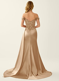Nerine Champagne Lace Corset Lace Up Back Mermaid Prom Dress image7
