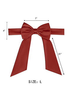 front Matte Satin Sash with Back Bow