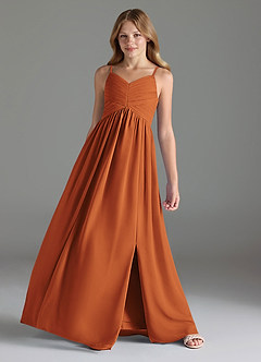 Azazie Alia Junior Cinnamon A-Line Pleated Chiffon Dress image4