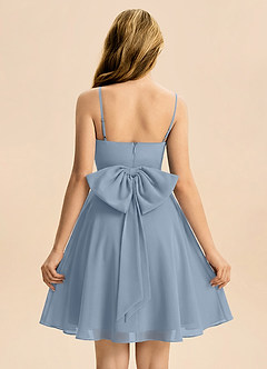 Azazie Bear Junior Dusty Blue A-Line Pleated Chiffon Dress image2