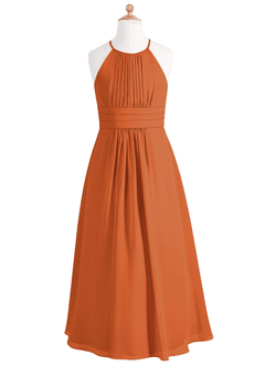 Azazie Bonnie Junior Cinnamon A-Line Pleated Chiffon Dress image5