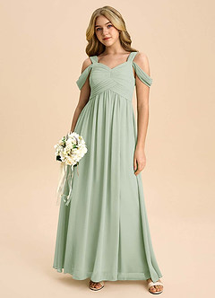 Azazie Lianne Junior Dusty Sage A-Line Off the Shoulder Chiffon Dress image5