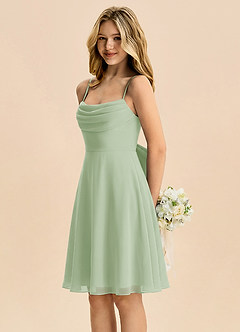 Azazie Bear Junior Dusty Sage A-Line Pleated Chiffon Dress image4
