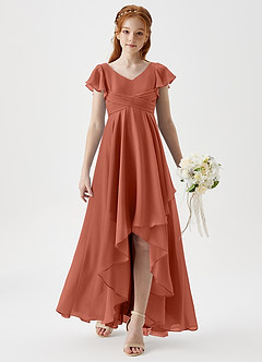 Azazie Caria Junior Clay A-Line Pleated Chiffon Dress image3