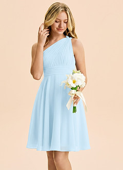 Azazie Charlize Junior Sky Blue A-Line Pleated Chiffon Dress image4
