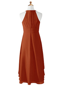 Azazie Linna Junior Paprika A-Line Pleated Chiffon Dress image6