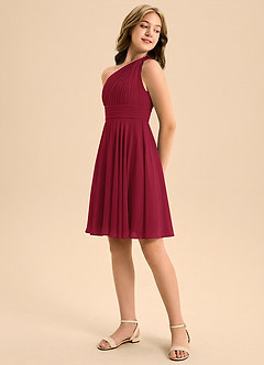 Azazie Charlize Junior Burgundy A-Line Pleated Chiffon Dress image4