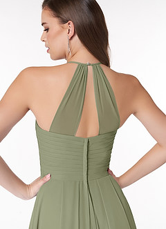 Azazie Ginger At-home Try On Dresses Dusty Sage A-Line Halter Pleated Chiffon Dress image3
