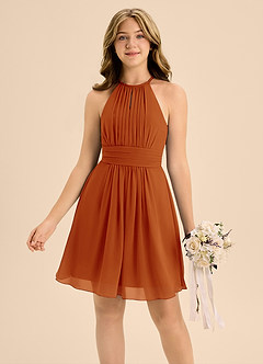 Azazie Bonnie Junior Paprika A-Line Pleated Chiffon Dress image3