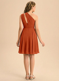 Azazie Charlize Junior Burnt Orange A-Line Pleated Chiffon Dress image2