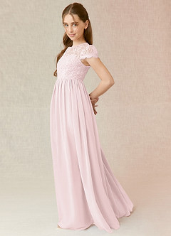 Azazie Delevingne Junior Blushing Pink A-Line Lace Chiffon Dress image3