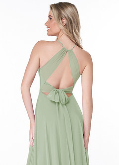 Azazie Evalleen Bridesmaid Dresses Dusty Sage A-Line Pleated Chiffon Dress image3