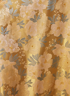 Robe Mi-Longue Or Ocre Nella image8