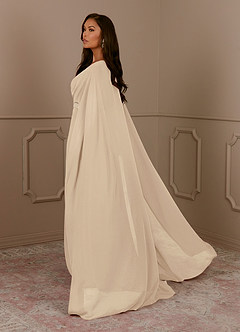 Azazie Isa Mother of the Bride Dresses Champagne A-Line V-Neck Pleated Chiffon Dress image3