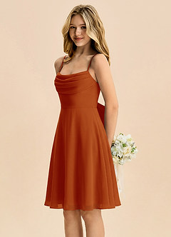 Azazie Bear Junior Paprika A-Line Pleated Chiffon Dress image4