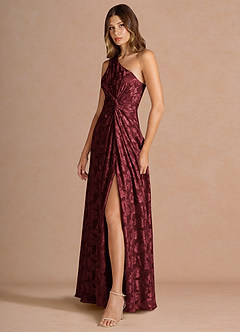 Ilythia Wine Maxi Dress image5