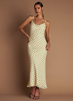 Alanis Cream Black Maxi Dress image1