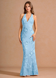 Dulcie Sky Blue Maxi Dress image3