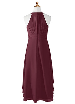 Azazie Linna Junior Cabernet A-Line Pleated Chiffon Dress image6