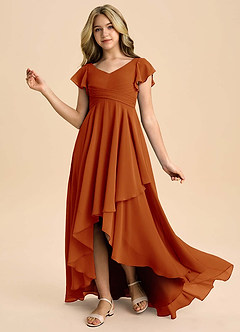 Azazie Caria Junior Paprika A-Line Pleated Chiffon Dress image1