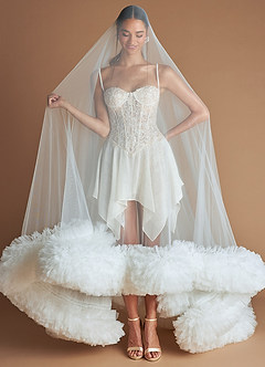 Ariana Vanilla Mini Dress & Veil image7