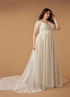 Azazie Arabelle Wedding Dresses Diamond White Nude A-Line V-Neck Lace Tulle Dress image8