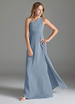 Azazie Dallas Junior Dusty Blue A-Line Pleated Chiffon Dress image3