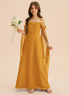 Azazie Moana Junior Linia A Pofałdowany Szyfon Długość podłogi Młodsza druhna Sukienka image4