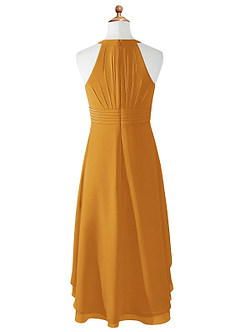 Azazie Linna Junior Butterscotch A-Line Pleated Chiffon Dress image6