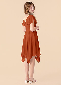 Azazie Janeaurelia Junior Burnt Orange A-Line Pleated Chiffon Dress image2