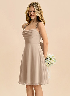 Azazie Bear Junior Taupe A-Line Pleated Chiffon Dress image4