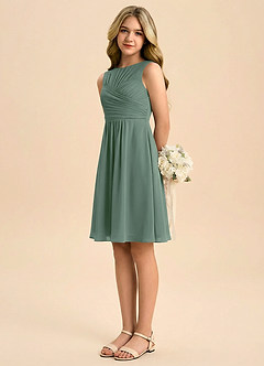 Azazie Skyla Junior Linia A Pofałdowany Szyfon Mini Młodsza druhna Sukienka image4