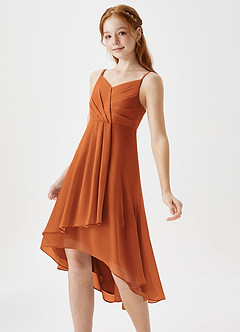Azazie Mariam Junior Cinnamon A-Line Pleated Chiffon Dress image1