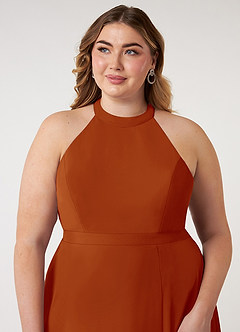 Azazie Clarice Bridesmaid Dresses Paprika A-Line Halter Chiffon Dress image13