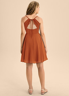 Azazie Avelina Junior Cinnamon A-Line Pleated Chiffon Dress image2