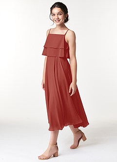 Azazie Ensley Junior Terracotta A-Line Pleated Chiffon Dress image3