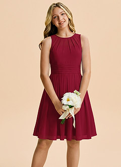 Azazie Bibiane Junior Burgundy A-Line Pleated Chiffon Dress image1