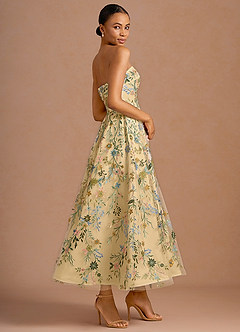 Evangeline Lemon Multi Maxi Dress image4