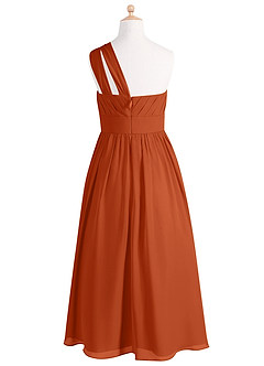 Azazie Molly Junior Burnt Orange A-Line Pleated Chiffon Dress image8
